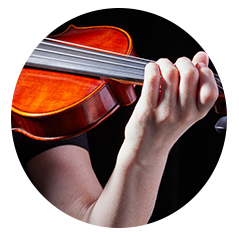 violin png